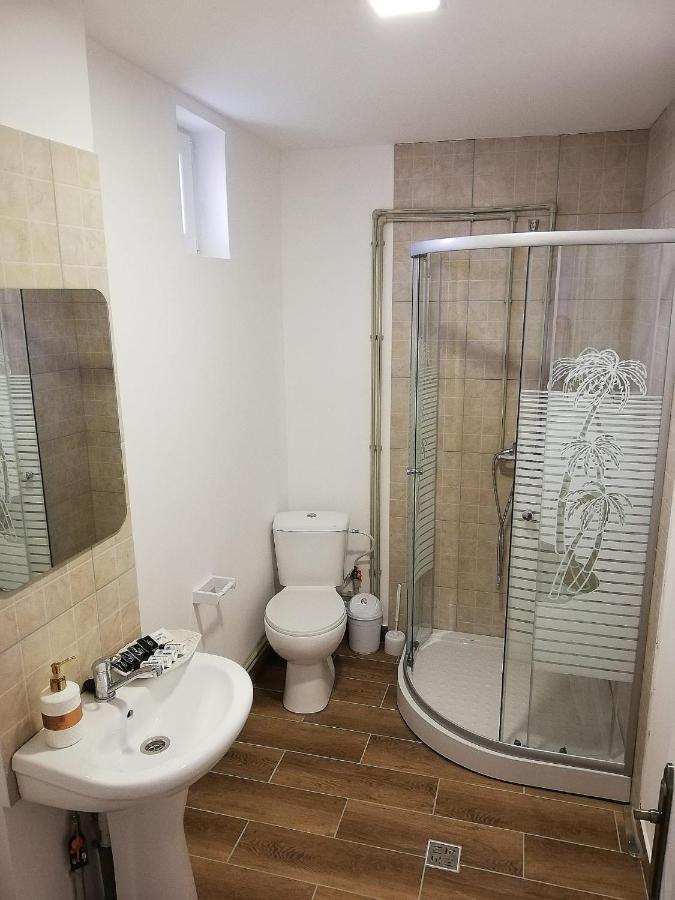 Pensiunea Eden House Craiova Extérieur photo